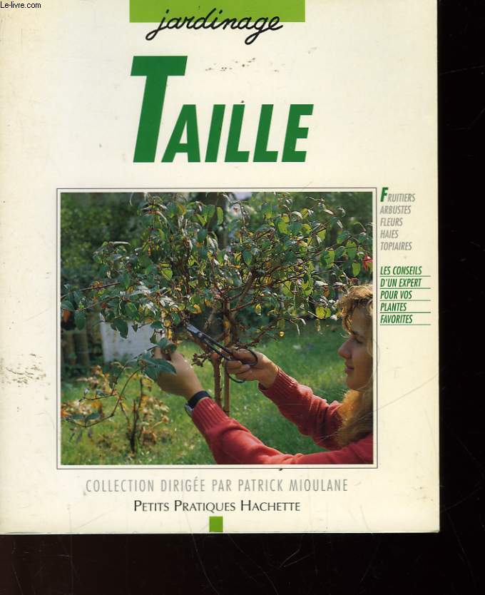 TAILLE - N16