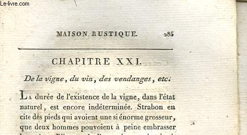 MAISON RUSTIQUE - CHAPITRE 21 - DE LA VIGNE, DU VIN, DES VENDANGES, ETC - A SUIVRE