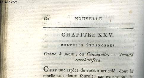 MAIRON RUSTIQUE - CHAPITRE 25 - CULTURES ETRANGERES