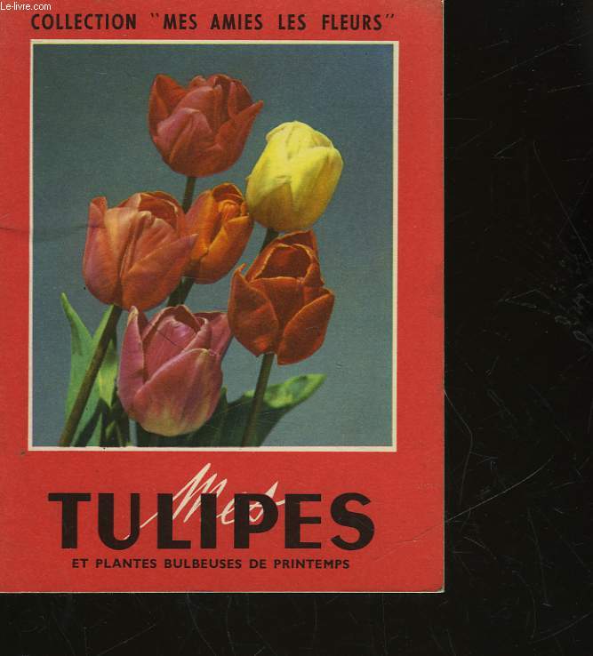 MES TULIPES - JACINTHES - NARCISSES - CROCUS ET PLANTES BULBEUSES DIVERSES DE PRINTEMPS