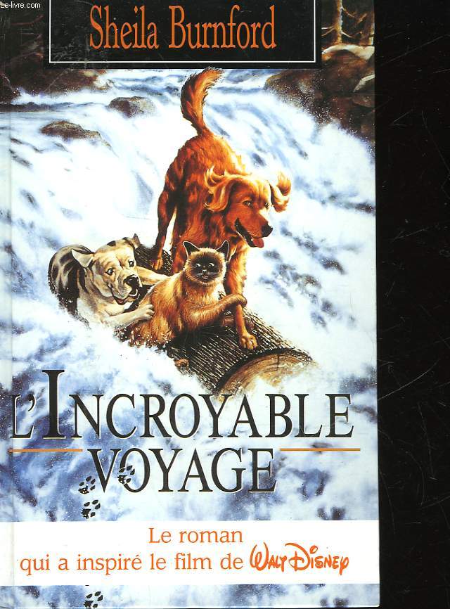 L'INCROYABLE VOYAGE