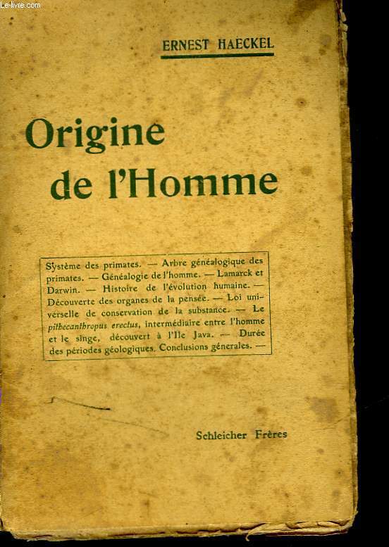ORIGINE DE L'HOMME