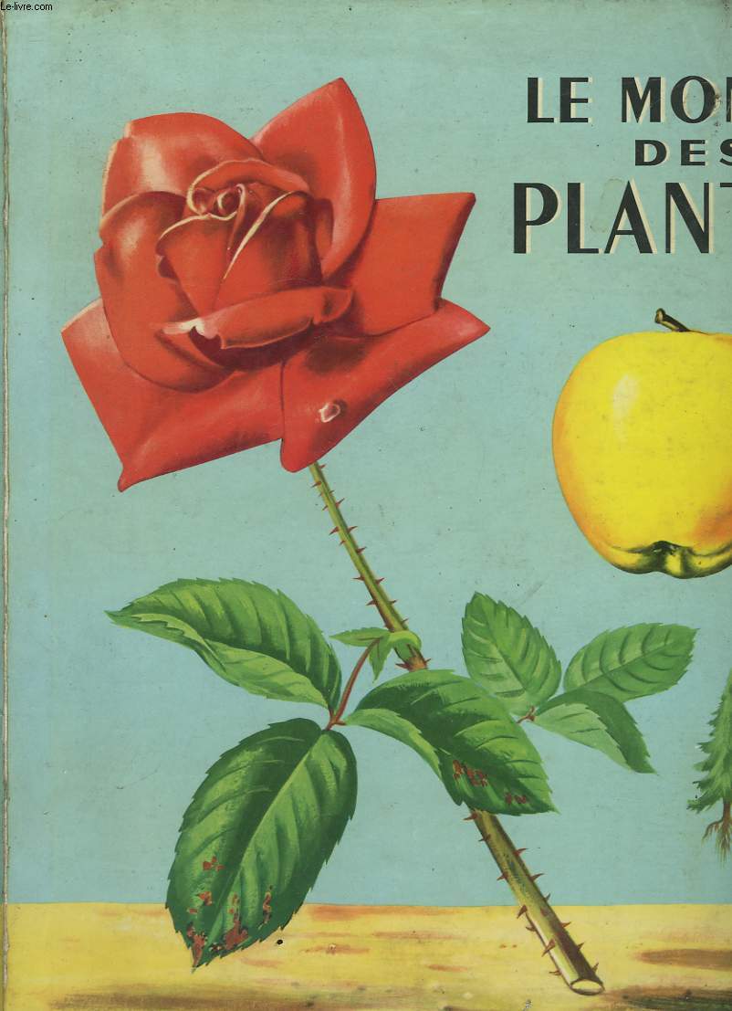 LE MONDE DES PLANTES