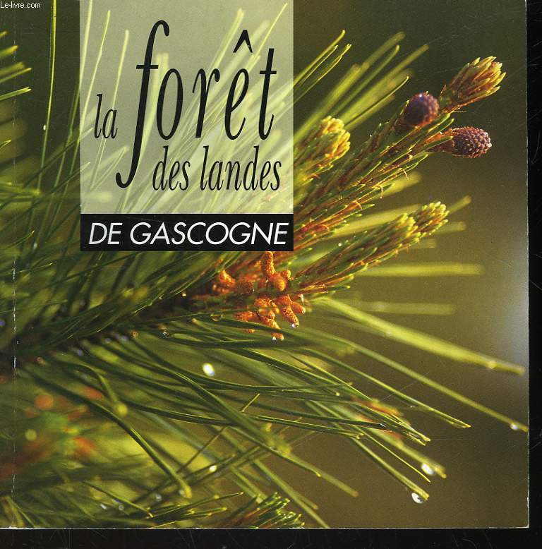 LA FORET DES LANDES DE GASCOGNE