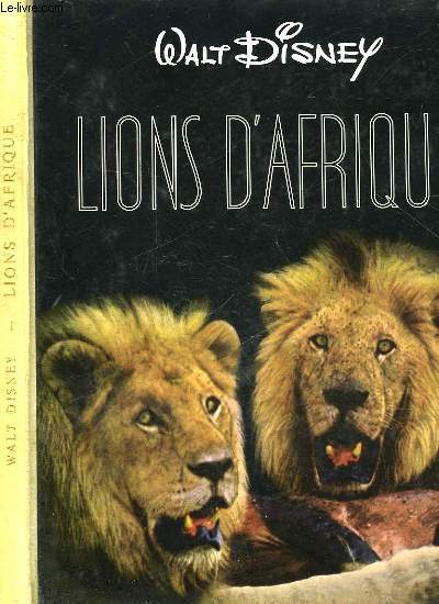 LIONS D'AFRIQUE