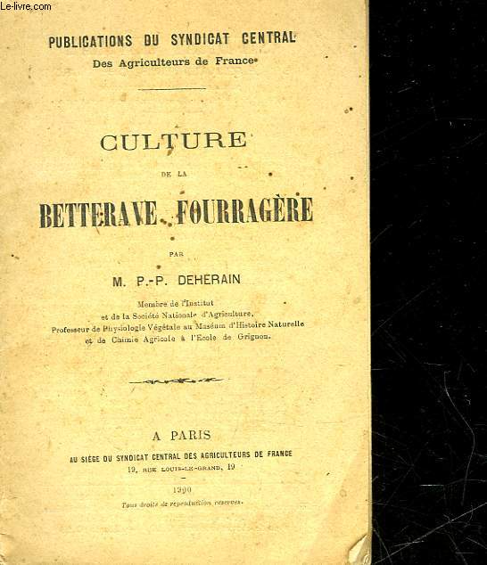 CULTURE DE LA BETTERAGE FOURRAGERE