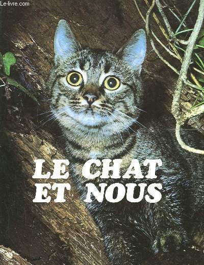 LE CHAT ET NOUS