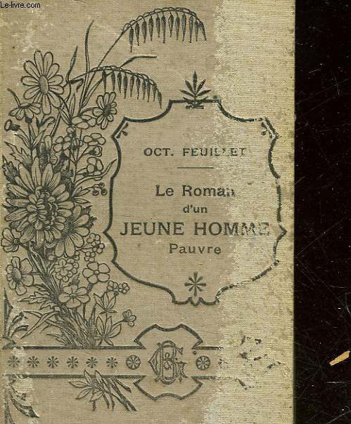 LE ROMAN D'UN JEUNE HOMME PAUVRE