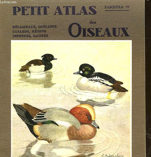 PETIT ATLAS DES OISEAUX - IV - BECASSEAUX, GOELANDS, CANARDS, HERONS, IMPENNES, RATITES