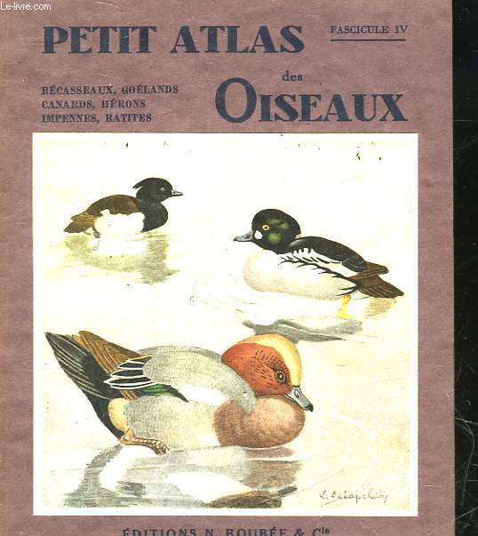 PETIT ATLAS DESOISEAUX - 4 - BECASSEAUX, GOELANDS, CANARDS, HERONS, IMPENNES, RATITES