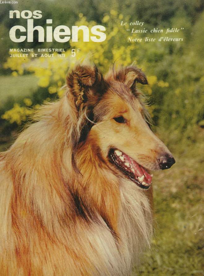 NOS CHIENS - N37