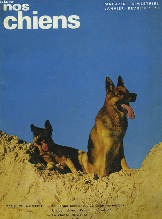 NOS CHIENS - N34