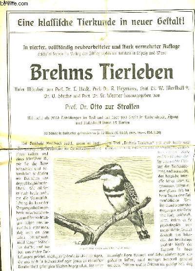 BREHMS TIERLEBEN - STRAFFEN OTTO ZUR - 0 - Photo 1/1