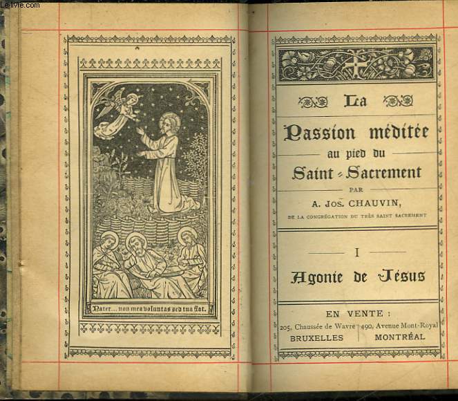 LA PASSION MEDITEE AU PIED DU SAINT-SACREMENT - I - AGONIE DE JESUS