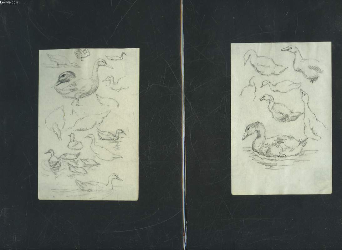 1 LOT DE 3 DESSINS ORIGINAUX - ANIMAUX DE LA FERME