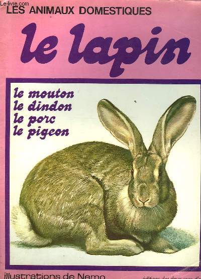 LES ANIMAUX DOMESTIQUES - LE LAPIN