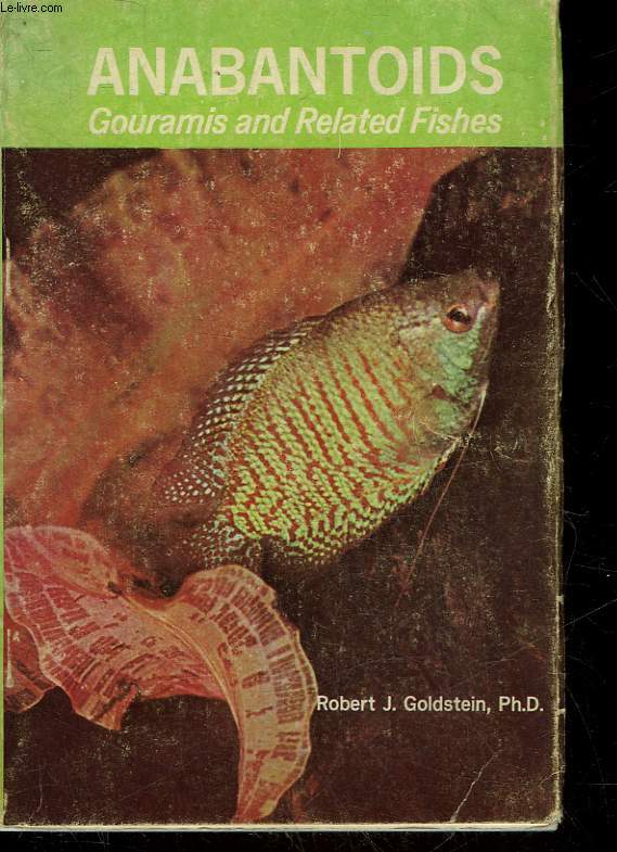 ANABANTOIDS - GOURAMIS AND RELATED FISHES