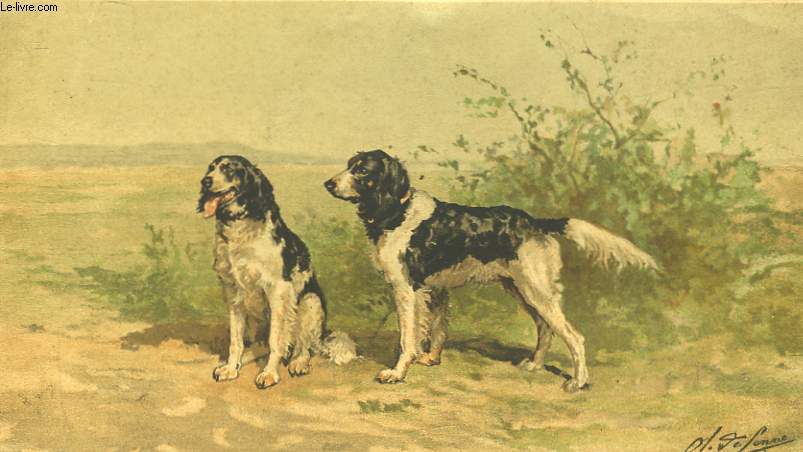 GRAVURE 20 COULEURS - CHIENS