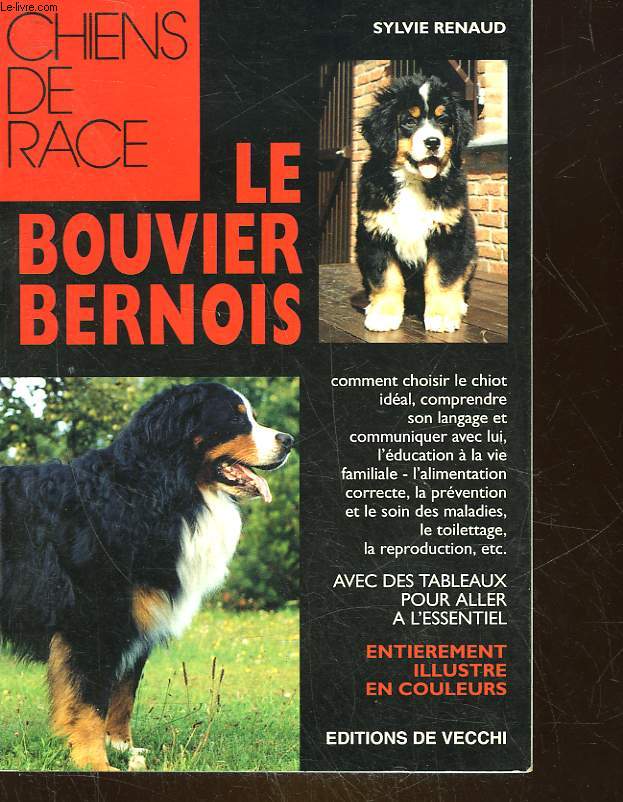 LE BOUVIER BERNOIS