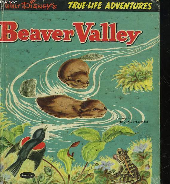 BEAVER VALLEY