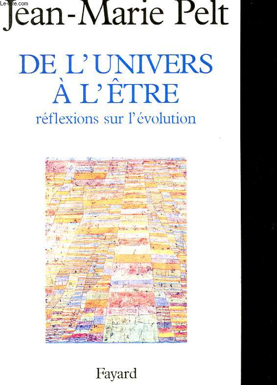 DE L'UNIVERS A L'ETRE - REFLEXIONS SUR L'EVOLUTION