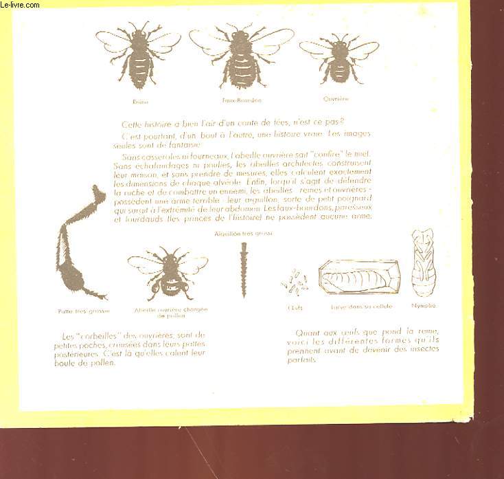 LE ROYAUME DES ABEILLES