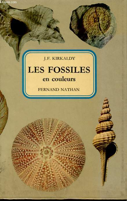 LES FOSSILES EN COULEURS