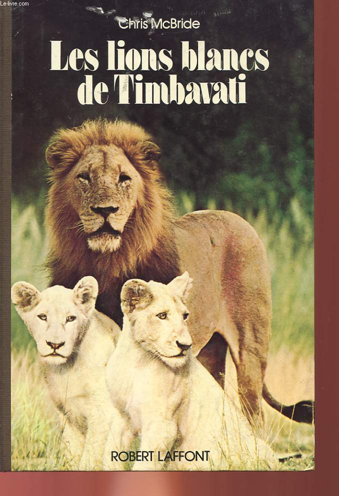 LES LIONS BLANCS DE TIMBAVATI