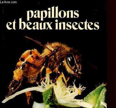 PAPILLONS ET BEAUX INSECTES