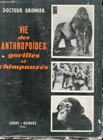 VIE DES ANTHROPOÏDES - GORILLES ET CHIMPANZES - III - GRANDS FAUVES D'AFRIQUE