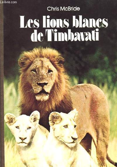 LES LIONS BLANC DE TIMBAVATI