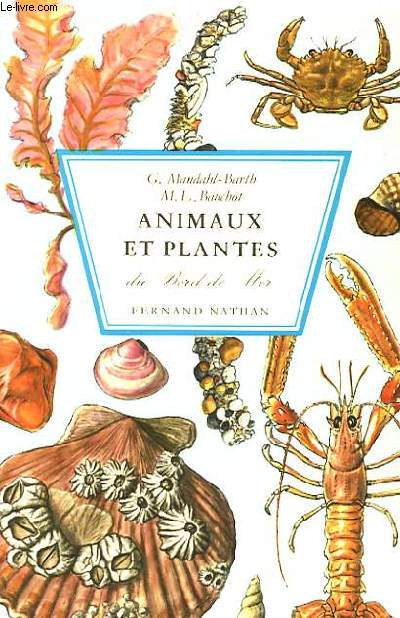 ANIMAUX ET PLANTES DU BORD DE MER