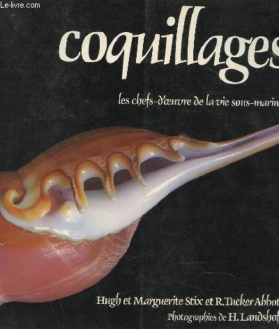 COQUILLAGES, CHEFS-D'OEUVRE DE LA VIE SOUS-MARINE