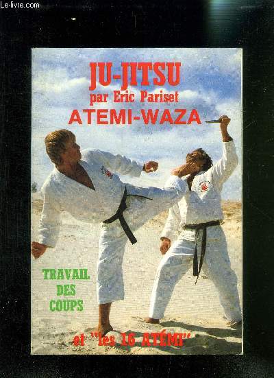 JU JITSU ATEMI WAZA- TRAVAIL DES COUPS ET 