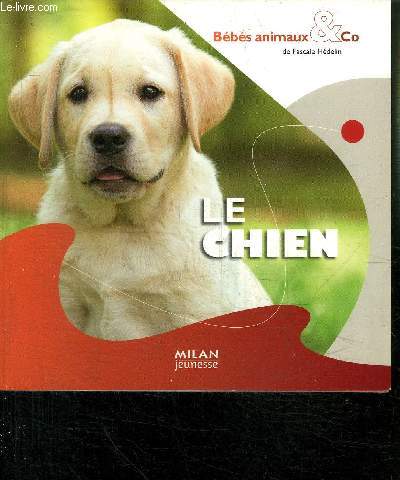 LE CHIEN - BEBES ANIMAUX & CO