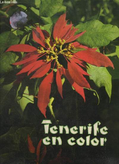 TENERIFE EN COLOR