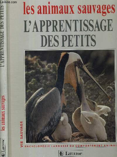 LES ANIMAUX SAUVAGES - L'APPRENTISSAGE DES PETITS