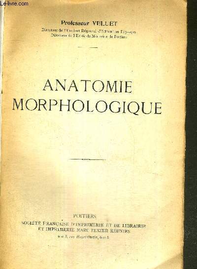 ANATOMIE MORPHOLOGIQUE