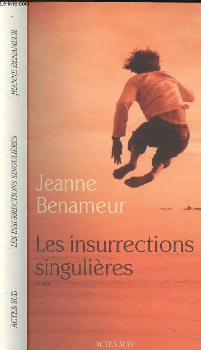 LES INSURRECTIONS SINGULIERES