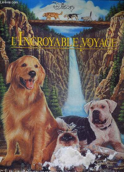 1 LASERDISC - L'INCROYABLE VOYAGE - D'APRES LE ROMAN 