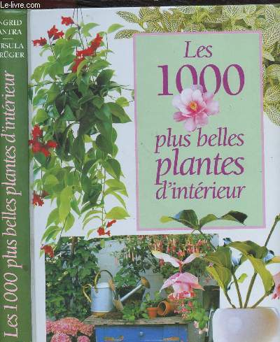 LES 1000 PLUS BELLES PLANTES D INTERIEUR