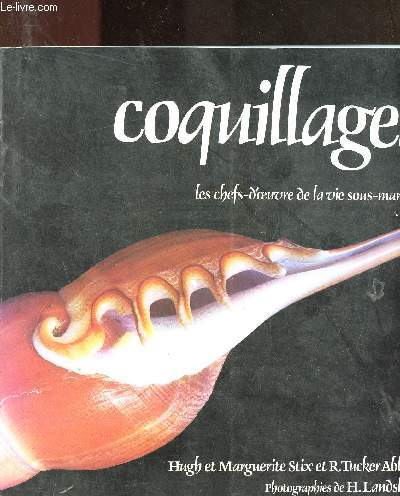 COQUILLAGES - LES CHEFS-D'OEUVRE DE LA VIE SOUS-MARINE