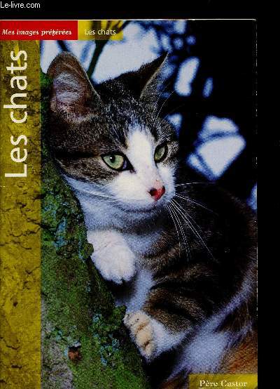LES CHATS - MES IMAGES PREFEREES