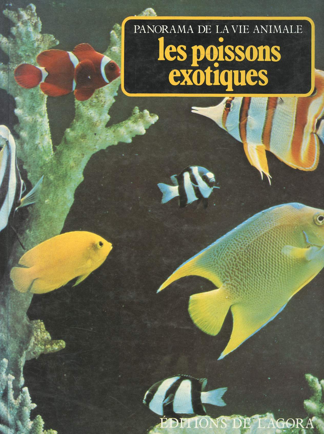 Les poissons exotiques