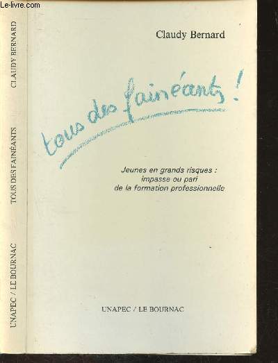 Jeunes en grands risques : impasse ou pari de la formation professionnelle