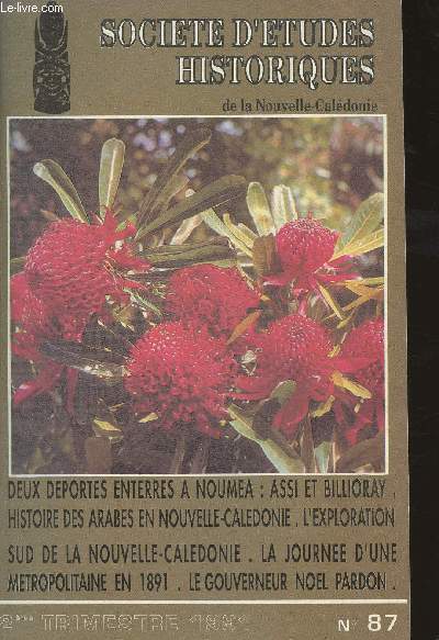 Socit d'tudes historiques de la Nouvelle-Caldonie - 2e trimestre 1991 - n87