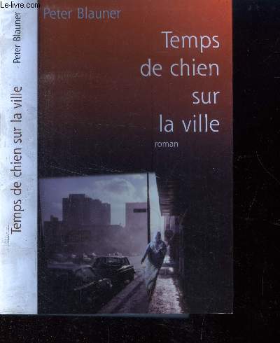 Temps de chien sur la ville