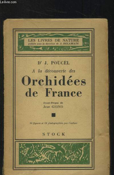 A la dcouverte des orchides de France