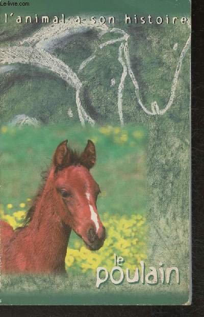 Carnet vierge  petit carreaux