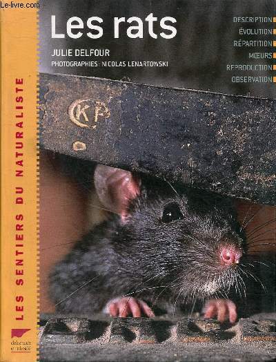 Les rats (Collection 